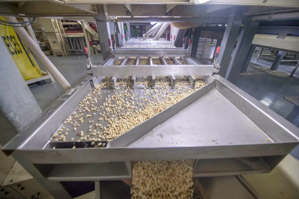 The increasing importance of food safety: part of peanut production at location Beneluxhaven, Netherlands
